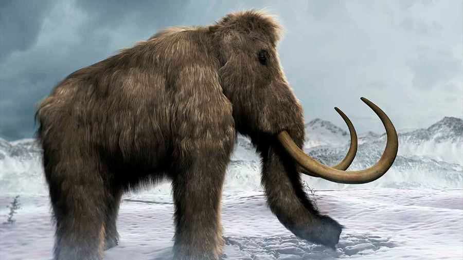 Resucitar el mamut: ¿Puede hacerse? ¿Debe hacerse?
