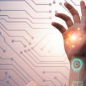La piel humana: de la biología a la tecnología
