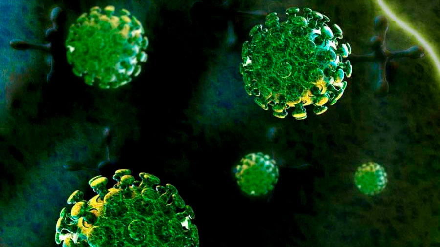 La OMS pone en alerta a hospitales de todo el mundo por nuevo virus surgido en China