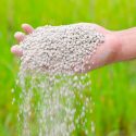Microorganismos al rescate del medio ambiente