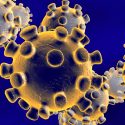 Ante caso de coronavirus, México tiene una capacidad científica limitada en virología