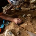 Neandertales caminaron 3,000 kilómetros hasta una cueva siberiana
