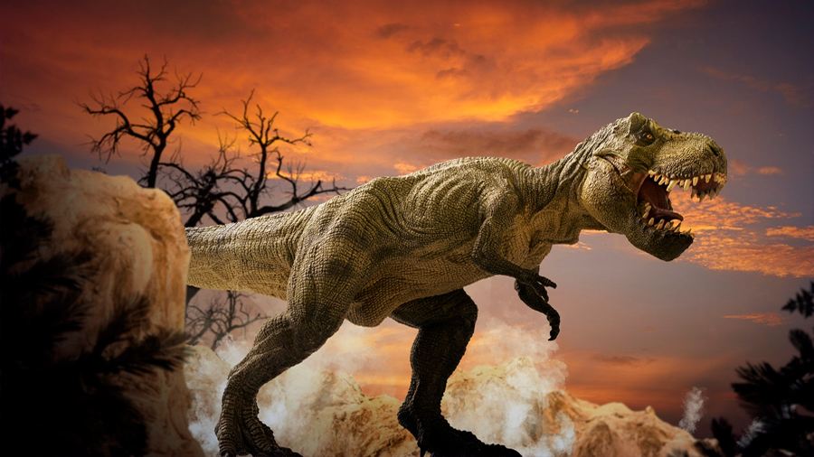 Animales del Jurásico sobrevivieron en una tierra de fuego