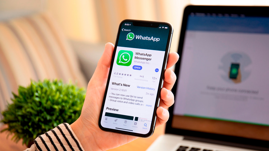 Cuáles son los celulares en los que no se podrá usar WhatsApp a partir de febrero del 2020