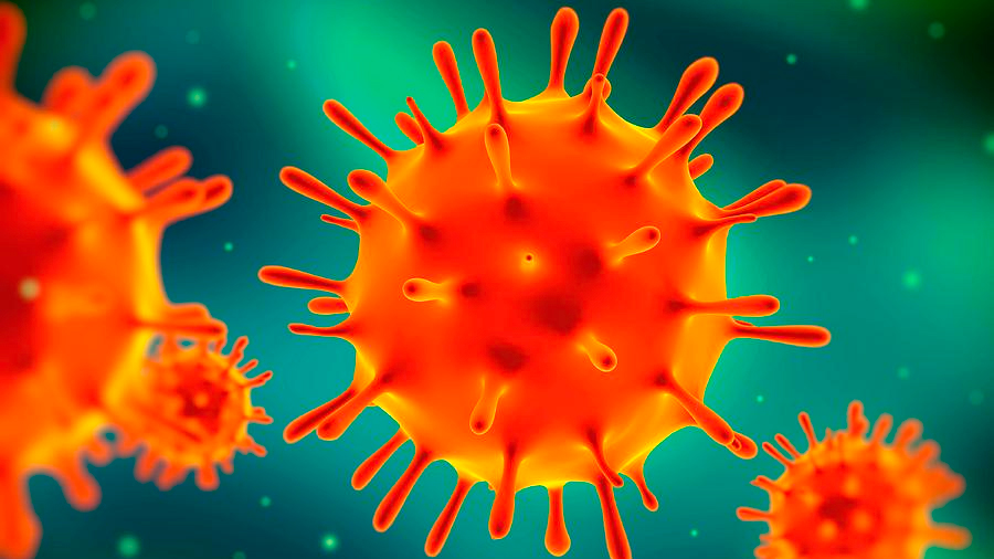 Científicos mexicanos trabajan en dispositivo que detectará virus H1N