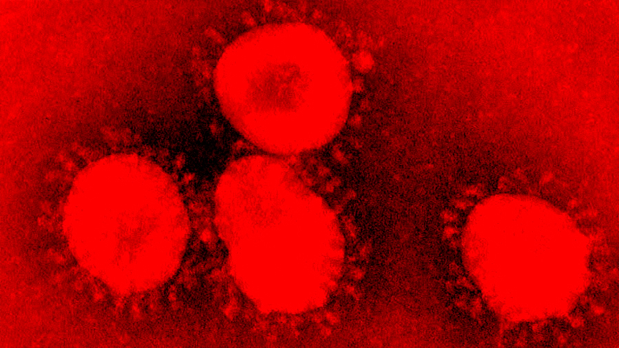 ¡Un nuevo Coronavirus!: ¿Qué es eso? ¿Nos tenemos que preocupar?