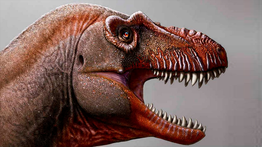 Encuentran en Canadá a "El segador de la muerte", primo lejano del T-Rex