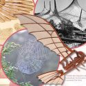 Biomimética: la ciencia de imitar a la naturaleza
