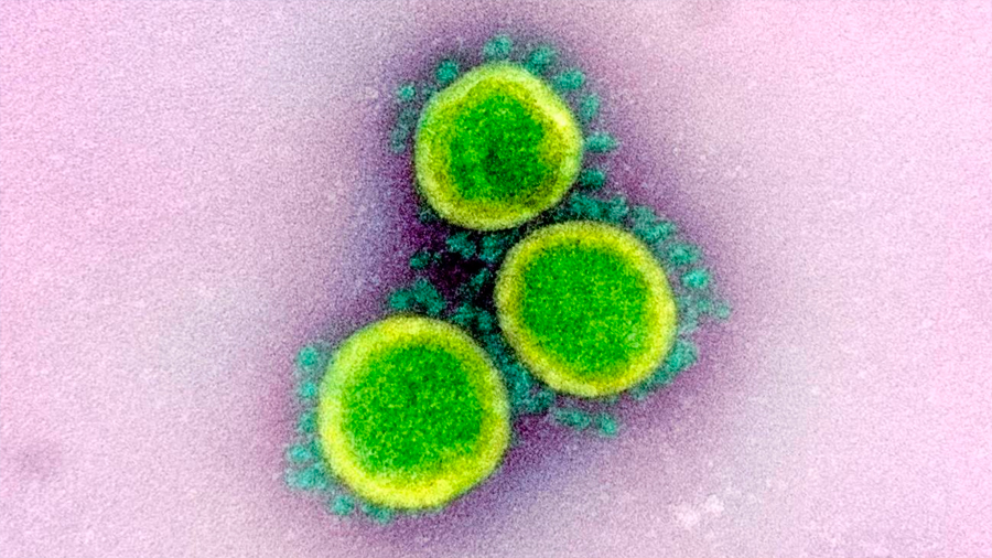 La OMS confirma que el coronavirus no viaja libremente por el aire, sino en gotas