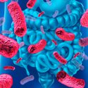 Descubren que bacterias intestinales pueden penetrar tumores y ayudar en terapia contra el cáncer