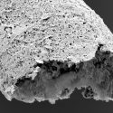 Fabrican por impresión 3D estructuras de un nuevo material análogas al tejido vascular