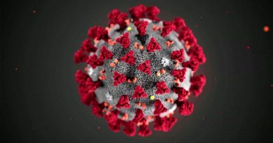 Urge que López-Gatell instale muchos centros para la detección del virus Corona19