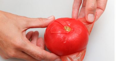 Joven emprendedor idea un protector solar con residuos de tomate
