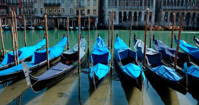 La asombrosa transformación de Venecia: los turistas se van y vuelven los peces a los canales