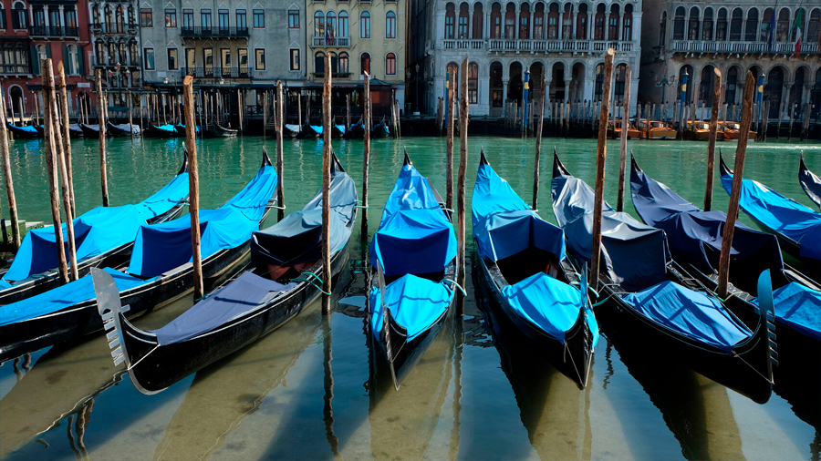La asombrosa transformación de Venecia: los turistas se van y vuelven los peces a los canales