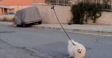Hombre pasea a su perro con un drone por la cuarentena