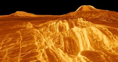 ¿Qué son las extrañas líneas rectas que se ven en parte superficial de Venus?