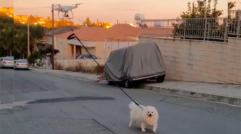 Mira a este dron pasear un perro en medio de la cuarentena por Covid-19
