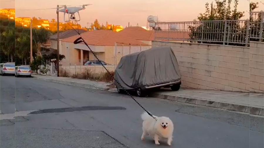 Mira a este dron pasear un perro en medio de la cuarentena por Covid-19