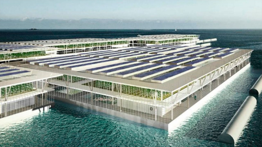 Crean una granja solar flotante que puede producir hasta 20 toneladas de verduras al día