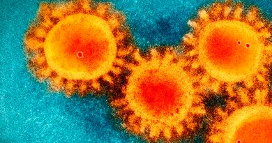 Coronavirus: científicos de Islandia descubren 40 mutaciones de COVID-19