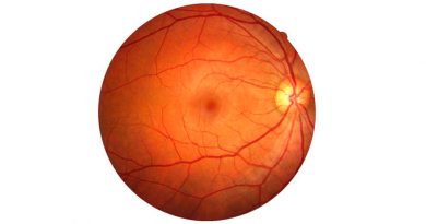 Regeneración de vasos sanguíneos en el ojo mediante células adultas revertidas a un estado casi embrionario