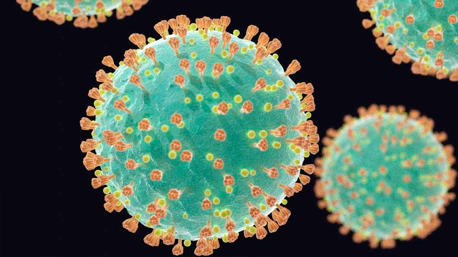  Coronavirus  no est  mutando tan r pido como se tem a y es 