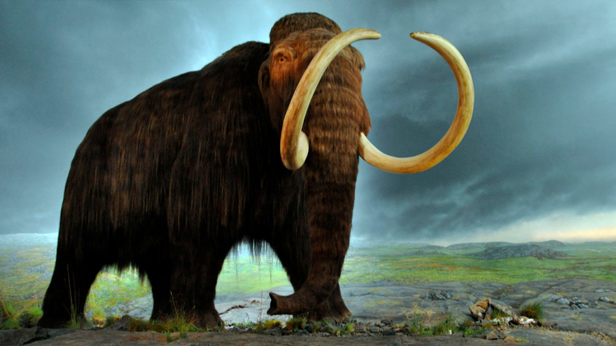 Resucitar el mamut: ¿Puede hacerse? ¿Debe hacerse?