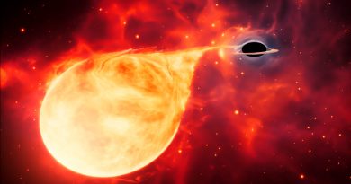Encuentran el eslabón perdido de los agujeros negros