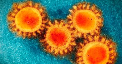 Descubren cómo es la molécula que el coronavirus usa para atacarnos