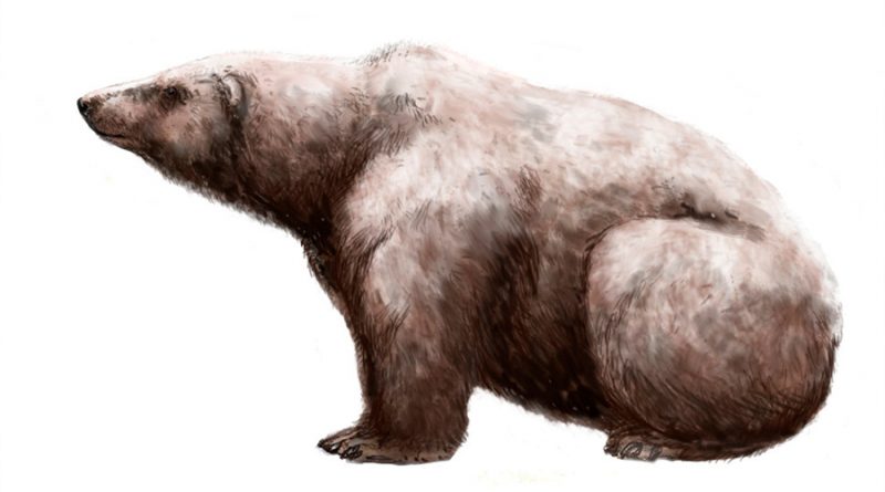 Este fue el oso más grande de todos los tiempos y tenía una masa de más de una tonelada