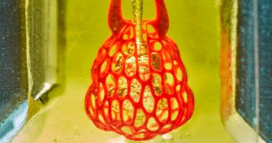 Investigadores descubren cómo imprimir redes vasculares en 3D