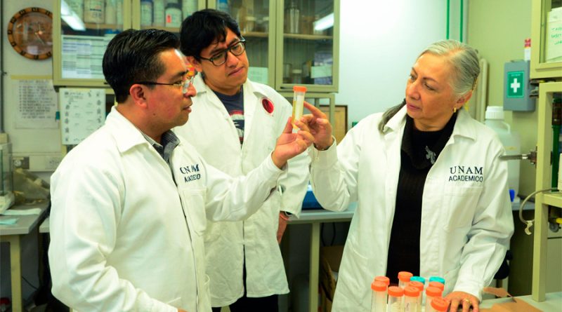 Avanza en la UNAM fármaco contra la enfermedad de Chagas