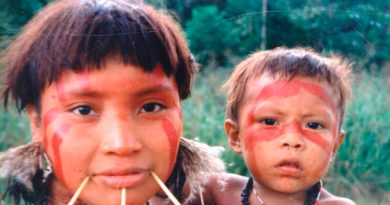 Científicos brasileños piden que se proteja a las poblaciones indígenas frente a la COVID-19