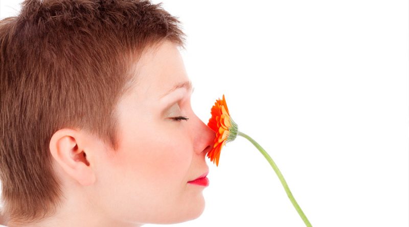 Respirar por la nariz ayuda a consolidar los recuerdos