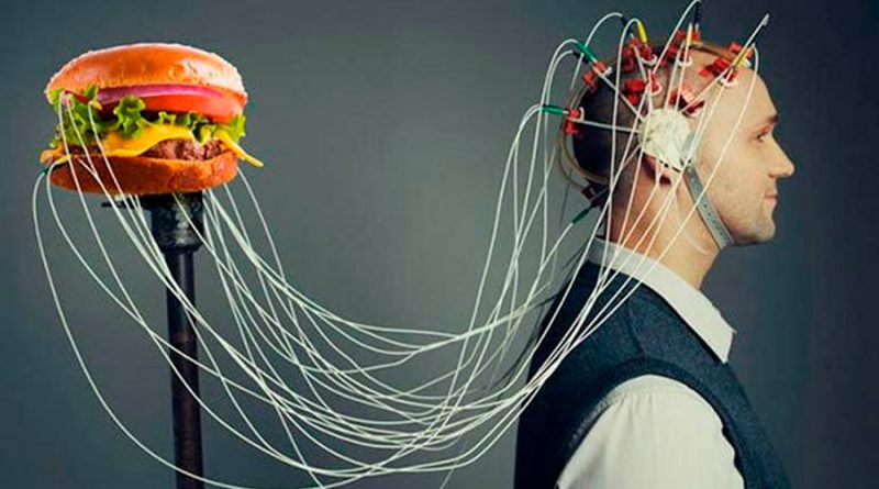 6 efectos negativos de la comida chatarra en tu cerebro