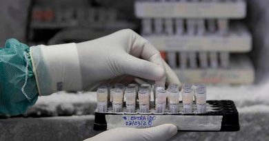 Alemania autoriza los primeros ensayos clínicos de una vacuna contra el coronavirus