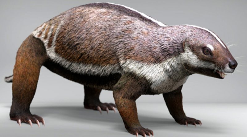 Descubierto en Madagascar un extraño mamífero de hace 66 millones de años