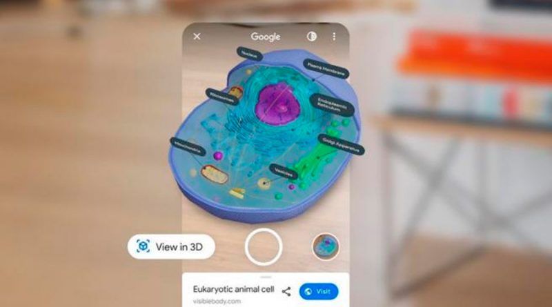 La realidad aumentada de los animales de Google llevada a la ciencia: así puedes ver células en 3D