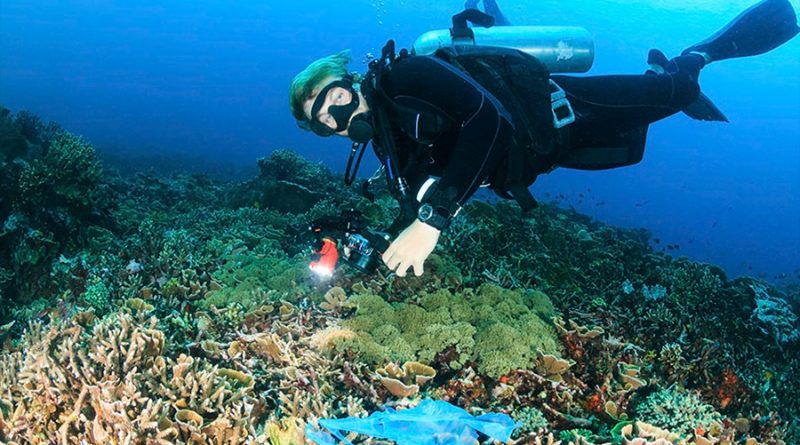 Científicos hallan el nivel más alto de microplásticos en el fondo marino