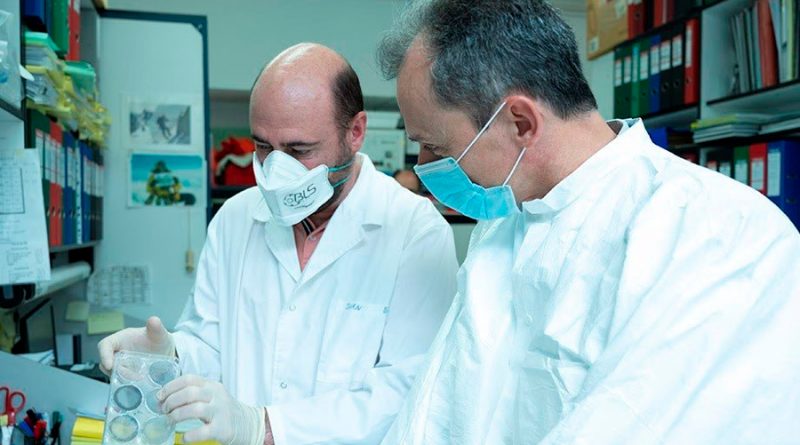 Biotecnólogos españoles comienzan los ensayos preclínicos de un candidato a vacuna