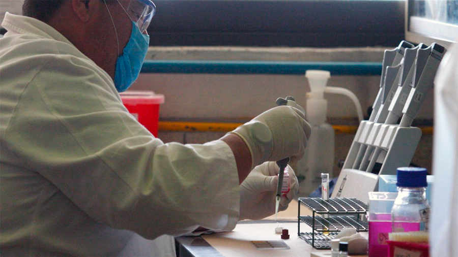 337 médicos-investigadores se suman en México a la lucha contra el Covid-19