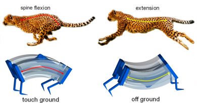 Nuevos robots guepardo que galopan se mueven tres veces mas rápido