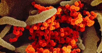 Nueva prueba de coronavirus abre la puerta a aplicación en masa