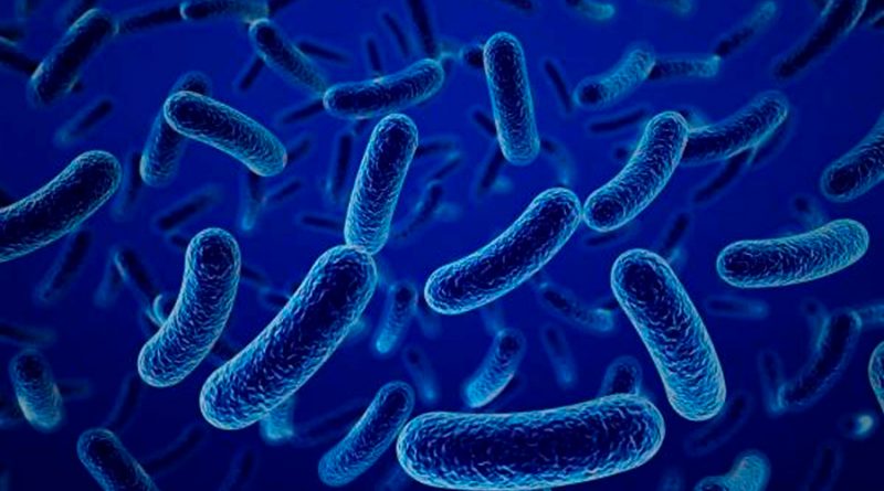 Demuestra estudio que las bacterias pueden almacenar información