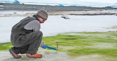 La Antártida se está volviendo verde por el cambio climático