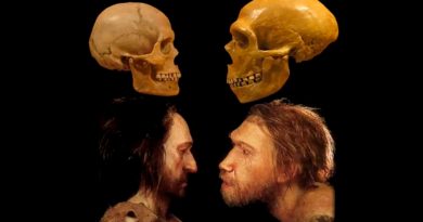 Supercomputadora logra simular la extinción de los neandertales