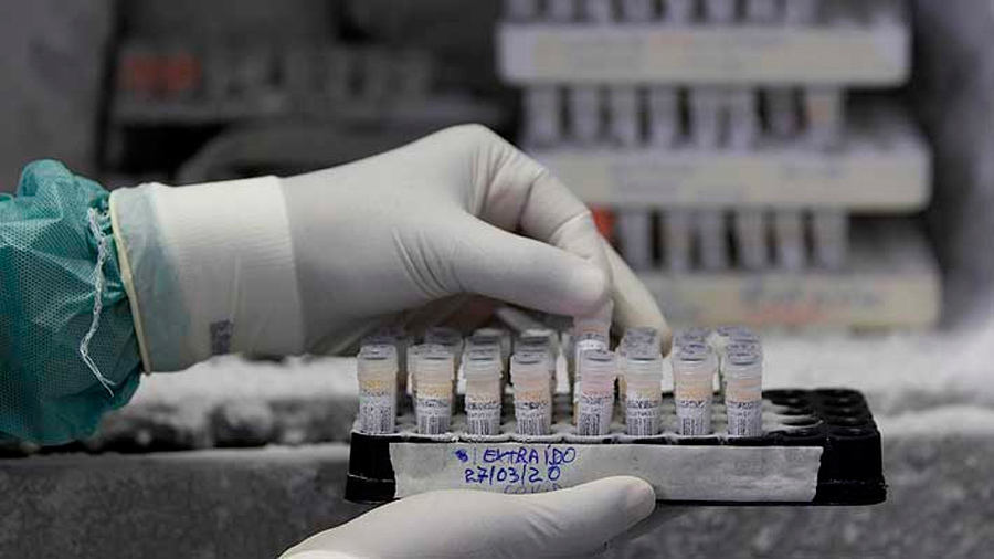 Investigadores chinos logran un tratamiento que puede detener el covid-19 "sin vacunas"