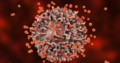 Defensas contra la COVID-19 en sangre de 2018: la potente hipótesis de la inmunidad cruzada