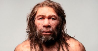 Humanos, neandertales y denisovanos pudieron hibridarse fácilmente